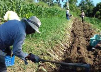 Un viaje a las fincas la Caléndula y Tungasuk
