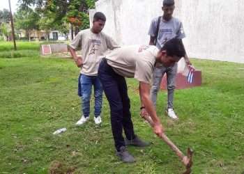 juventud-artemiseña