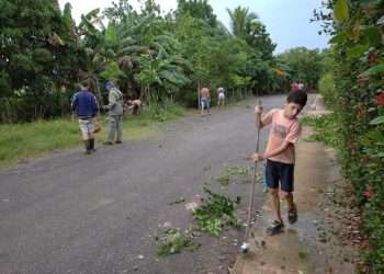 Los Comités, rebeldes como siempre