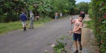 Los Comités, rebeldes como siempre