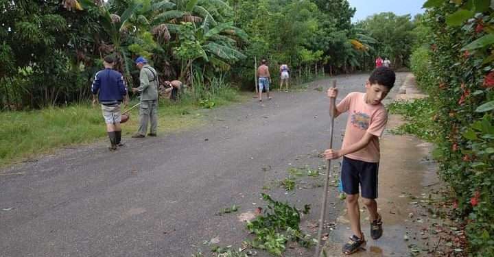 Los Comités, rebeldes como siempre