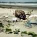 contaminacion-mares-plastico