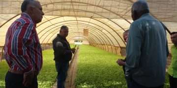 El Presidente de la Asamblea se interesó por la obtención de cepellones de alta calidad / Foto: Giselle Vichot