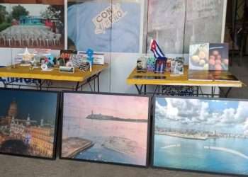 Las opciones elegidas por el comprador se pactan en un contrato que recoge derechos y deberes de ambas partes