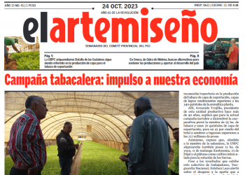 Edición 41 de el artemiseño