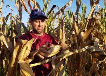 Ciencia directo al grano