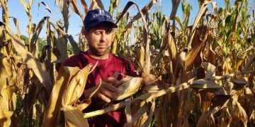 Ciencia directo al grano