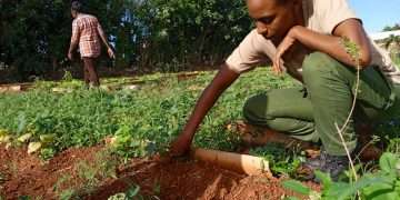 Artemisa sigue en sus 13