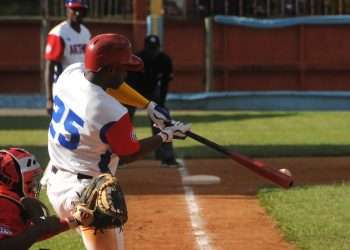 En Artemisa cazan Avispas con flechas