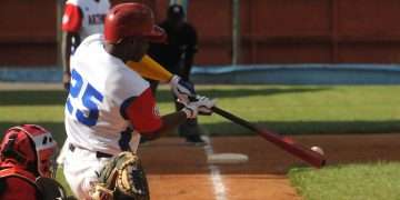 En Artemisa cazan Avispas con flechas