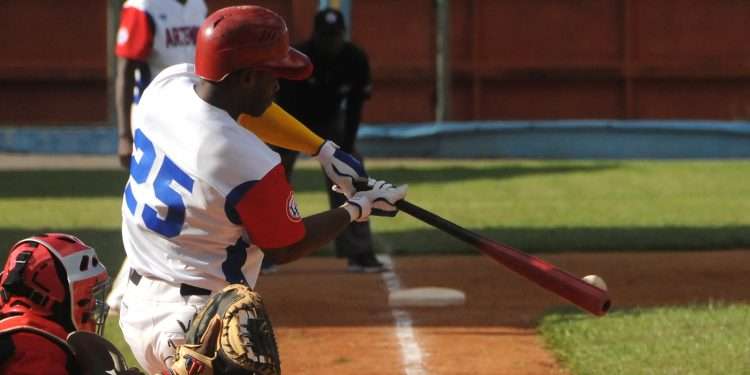 En Artemisa cazan Avispas con flechas