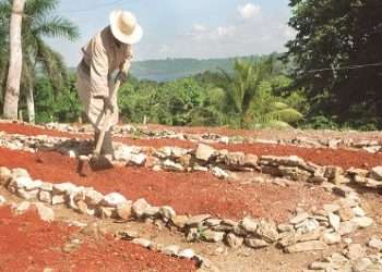 agricultura-artemisa