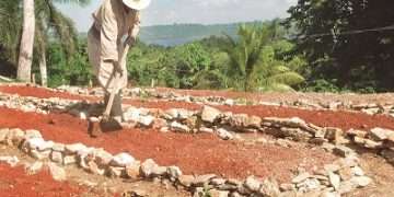 agricultura-artemisa