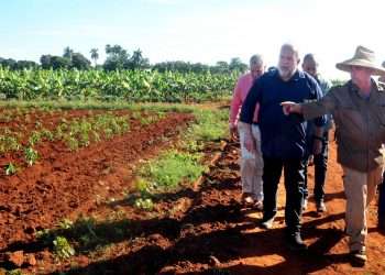 Alexander-campesino-de-CCS-Eduardo-Panizo-1