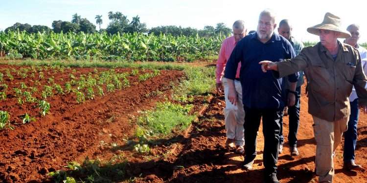 Alexander-campesino-de-CCS-Eduardo-Panizo-1