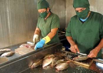 komares-minindustria