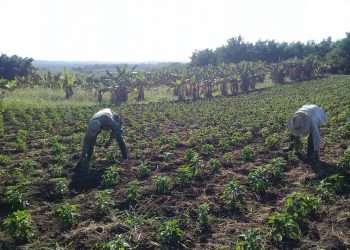 control-tierra-mariel