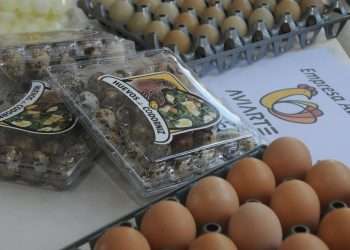 proyectos-de-exportación