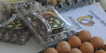 proyectos-de-exportación