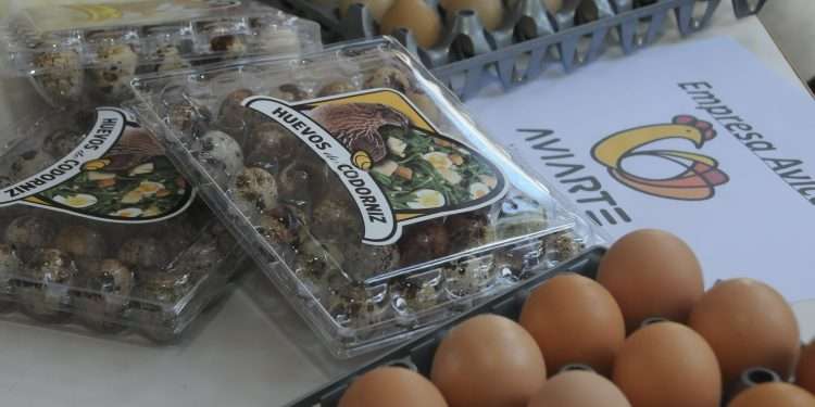 proyectos-de-exportación