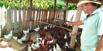 Piro apuesta por la producción de alimentos en La Montalveña / Fotos: Yudaisis Moreno