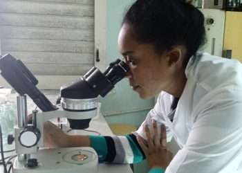 Esta joven también se vincula de forma apasionada con la investigación para conservar las especies de orquídeas nativas y otras exóticas. Foto: Adianez Fernández Izquierdo