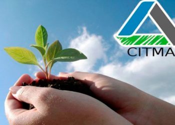 Plazas vacantes en delegación provincial del Citma