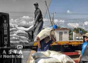 Contra gastos y “mareas”, transportar la canasta básica