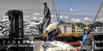 Contra gastos y “mareas”, transportar la canasta básica