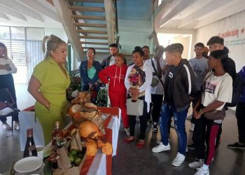 Prácticas pre profesionales: más que el diagnóstico, hallar la solución