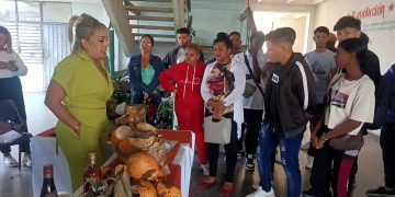 Prácticas pre profesionales: más que el diagnóstico, hallar la solución