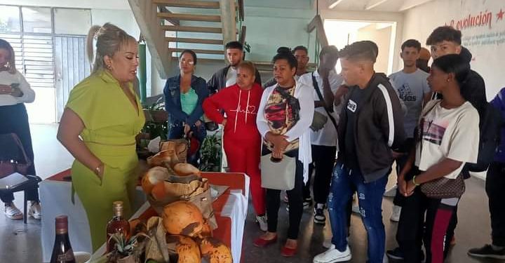 Prácticas pre profesionales: más que el diagnóstico, hallar la solución