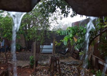 brote-severo-tiempo-artemisa