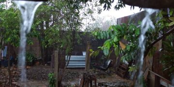 brote-severo-tiempo-artemisa