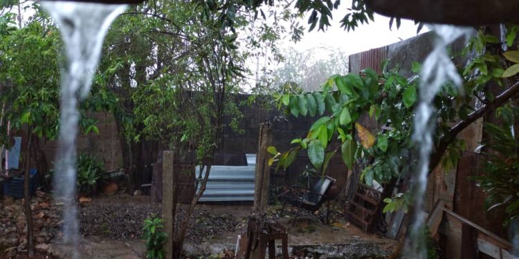 brote-severo-tiempo-artemisa