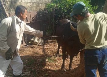 Control y legalidad en la gestión pecuaria y de la tierra