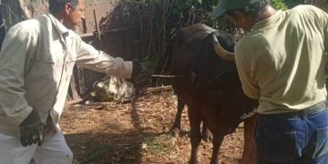 Control y legalidad en la gestión pecuaria y de la tierra