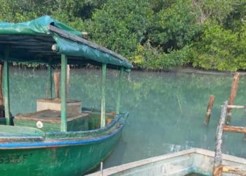 La costa sur artemiseña