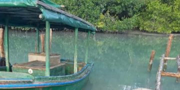 La costa sur artemiseña