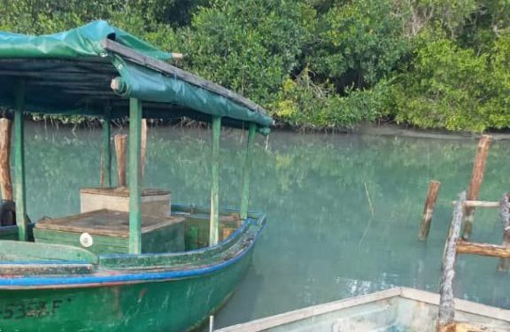 La costa sur artemiseña