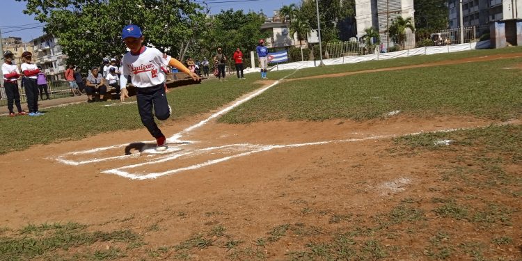 pelota-categorias-infaniles