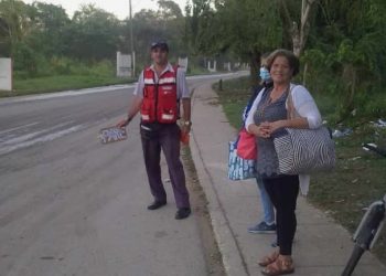 inspertor-transporte