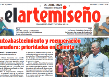 Edición 15 de el artemiseño
