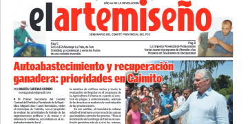 Edición 15 de el artemiseño