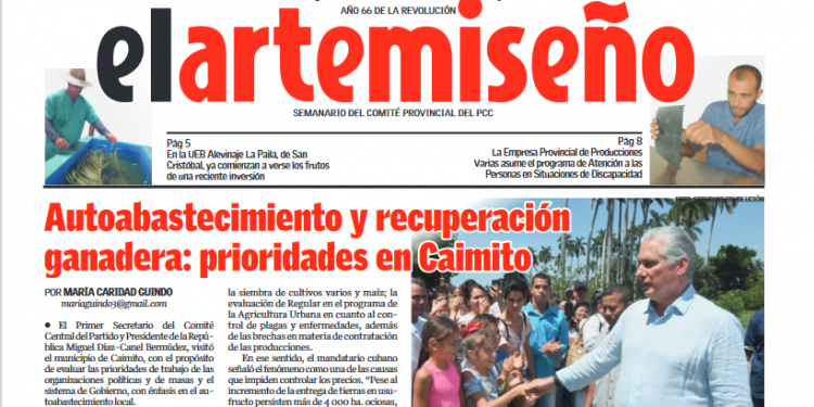 Edición 15 de el artemiseño