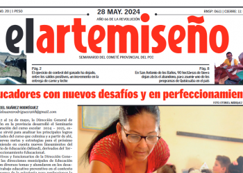 Edición 20 de el artemiseño