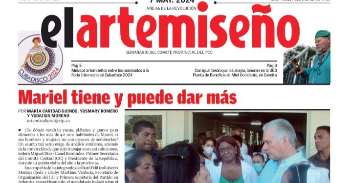 Edición 17 de el artemiseño