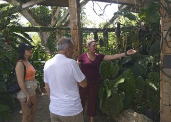 Orquídeas mantienen su encanto sobre miles