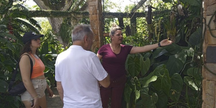 Orquídeas mantienen su encanto sobre miles