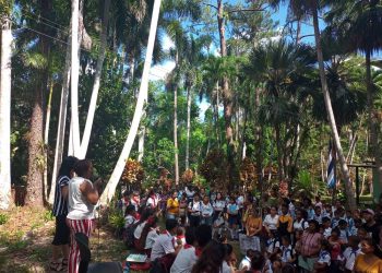 jornada-por-el-medio-ambiente